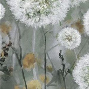 Meet your Posher, Tracie